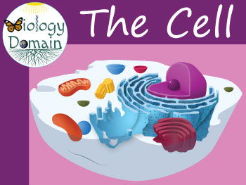 The Cell Crossword and Word Search