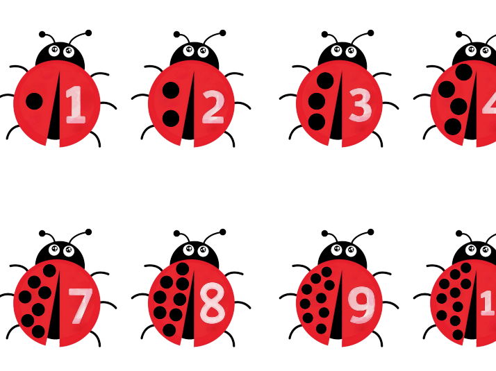 Valentines ladybird counting aid (1-10)