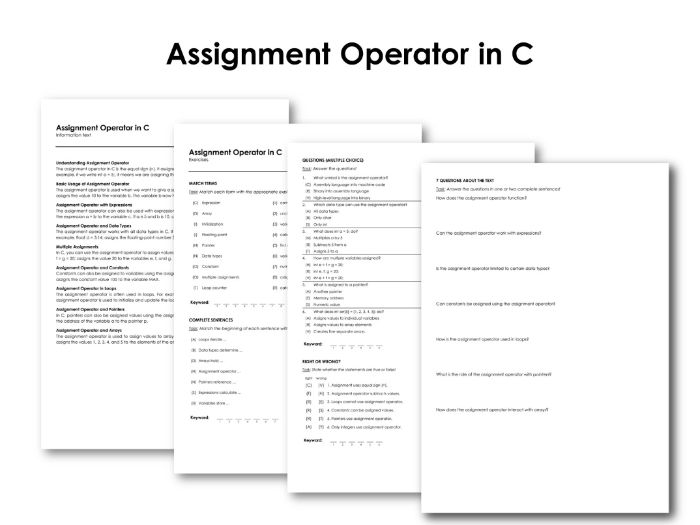 Assignment Operator in C