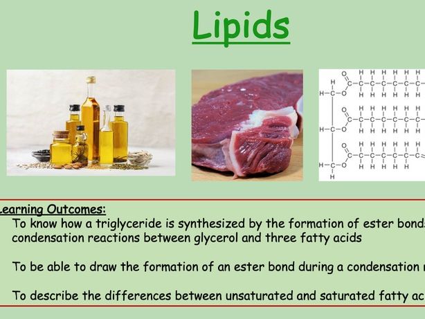 Edexcel IAL Biology Topic 1A - Lesson 7 - Lipids Part 1