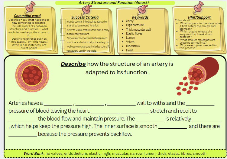 GCSE Biology 4 Mark Exam Question Scaffolded Worksheets – Paper 1 Bundle (set of 8)