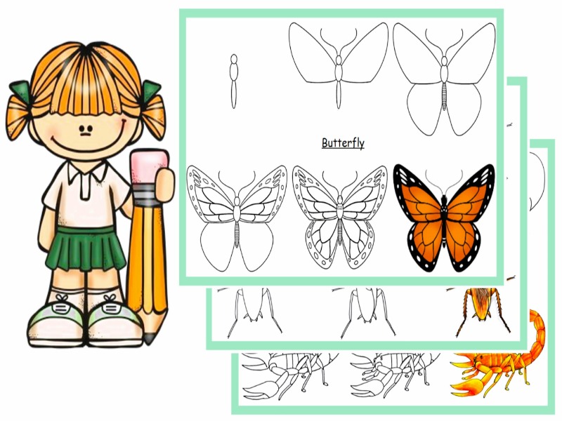 How To Draw 40 Insects In Six Easy Steps