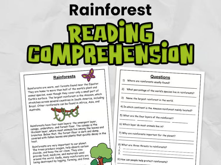 Rainforest Reading Comprehension for KS2 | Guided Reading Task