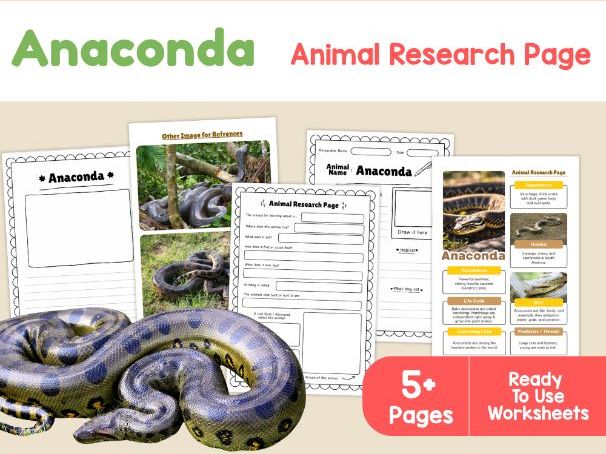 Anaconda Research Worksheets | Rainforest Animals and Reptiles