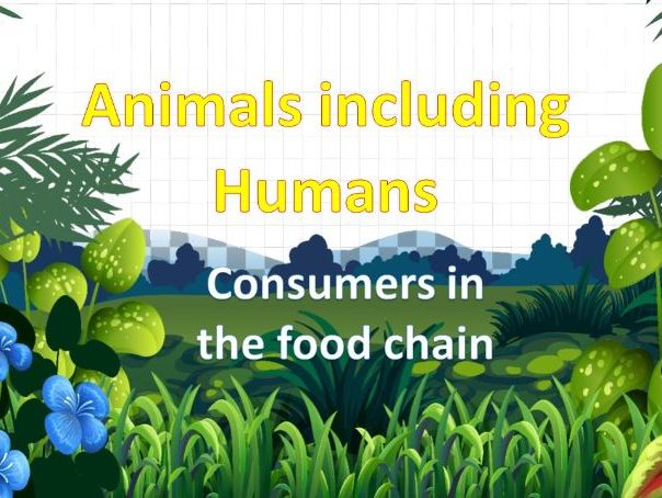 CONSUMERS IN THE FOOD CHAIN (Part of the unit "Eating and Digestion")