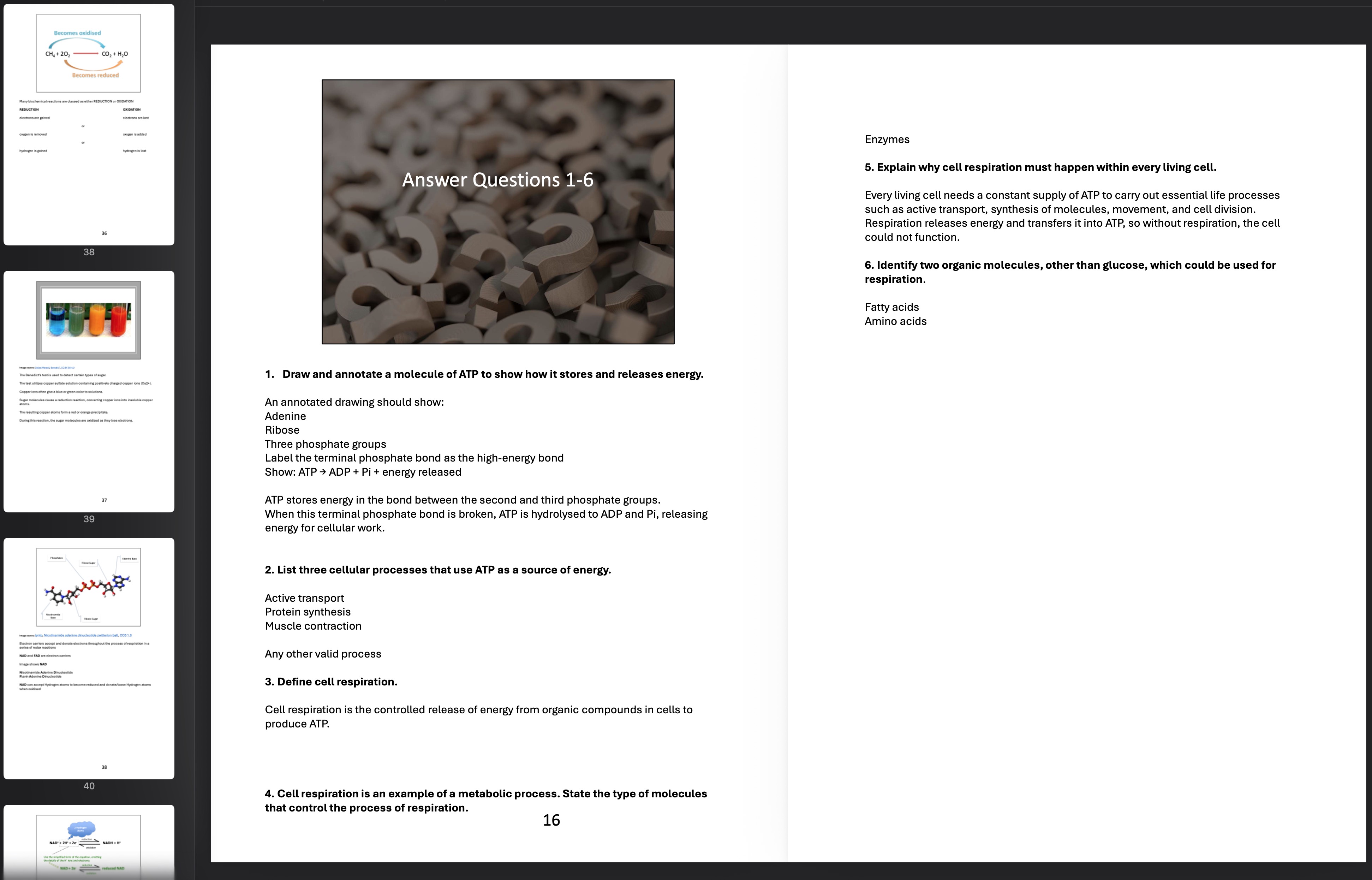 pdf, 8.7 MB