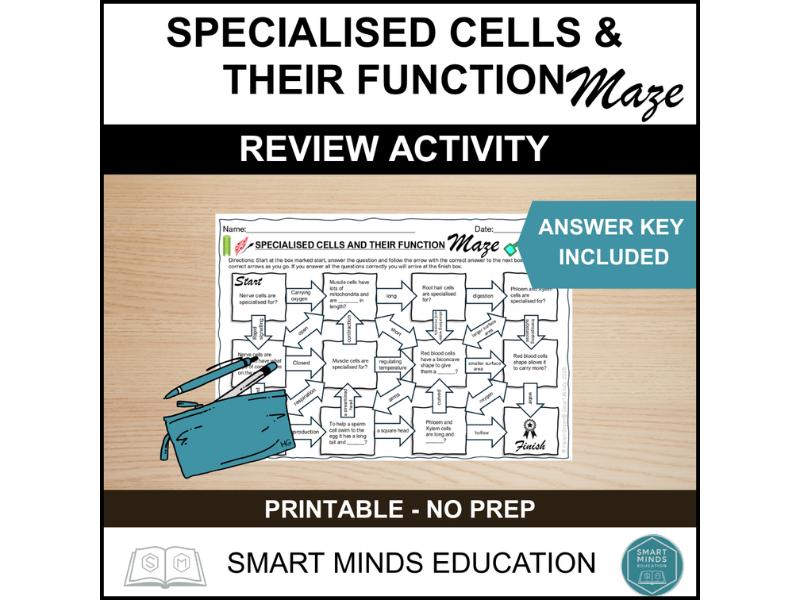 SPECIALISED CELLS AND THEIR FUNCTION MAZE ACTIVITY | CELL REVIEW ACTIVITY