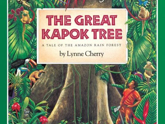 Shortened Version of The Great Kapok Tree