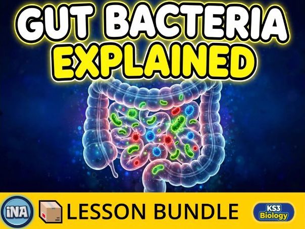 Bacteria in the Digestive System - Complete KS3 Biology Lesson Pack