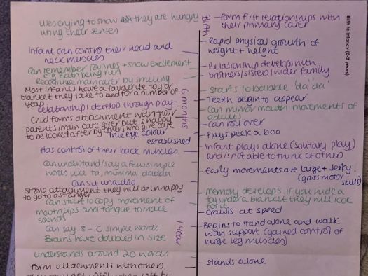 BTEC Tech Award Health & Social Care Component 1 Level 1 timeline activity