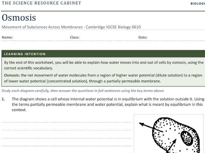 IGCSE Bio: Osmosis in Animal Cells Worksheet