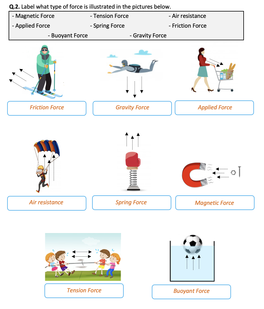 Force Diagram Worksheets With Answers