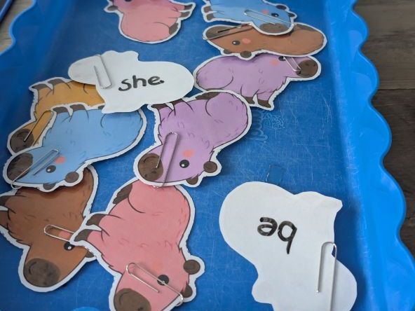 Capture a Capybara (Cut-outs)