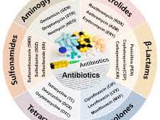 AS Level Biology - Antibiotics