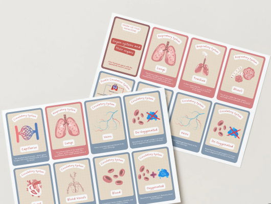 Organ Systems Cards Game Activity