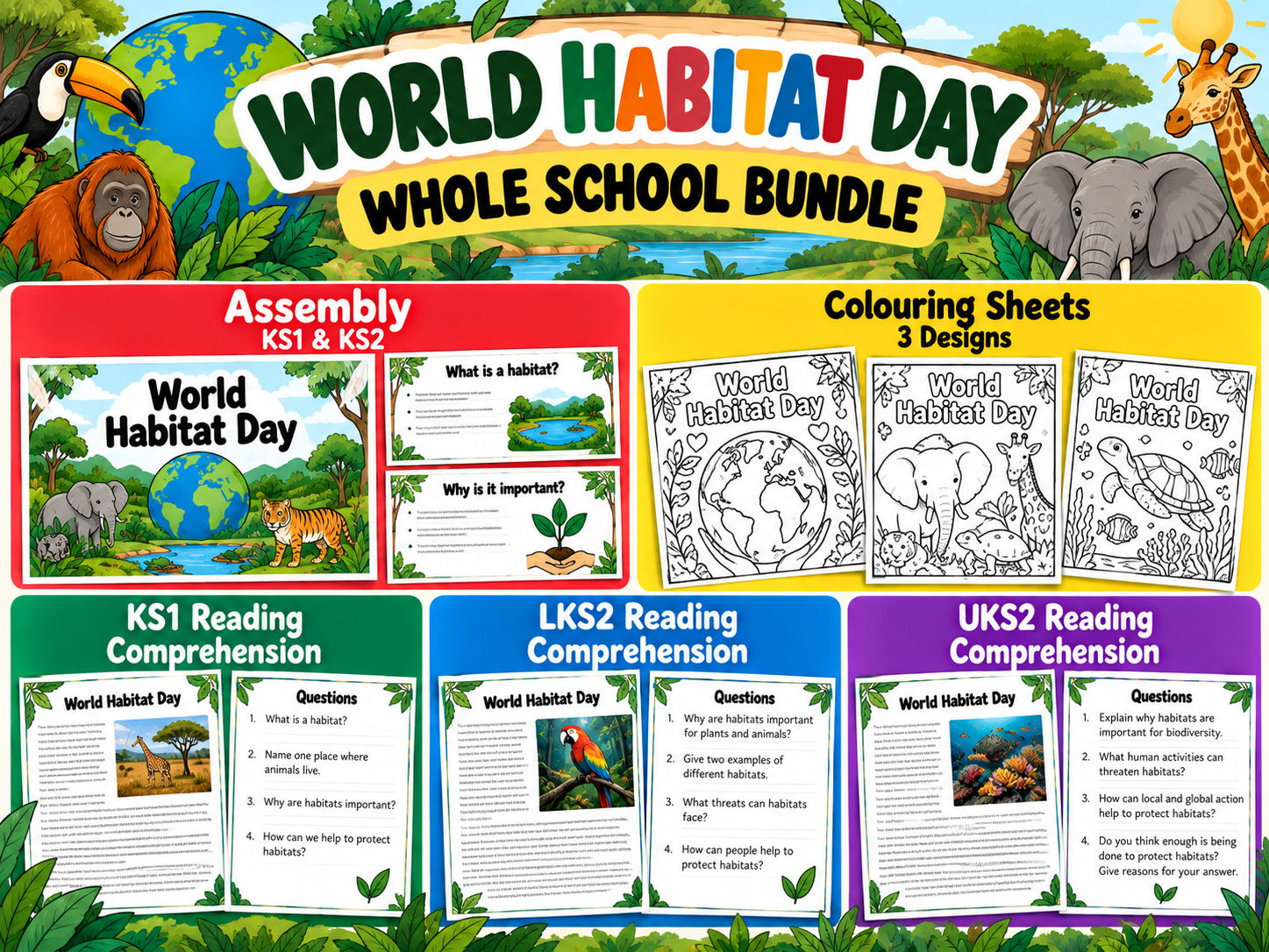 World Habitat Day Whole School Bundle | Assembly, Comprehensions & Colouring | Updated for 2026-27