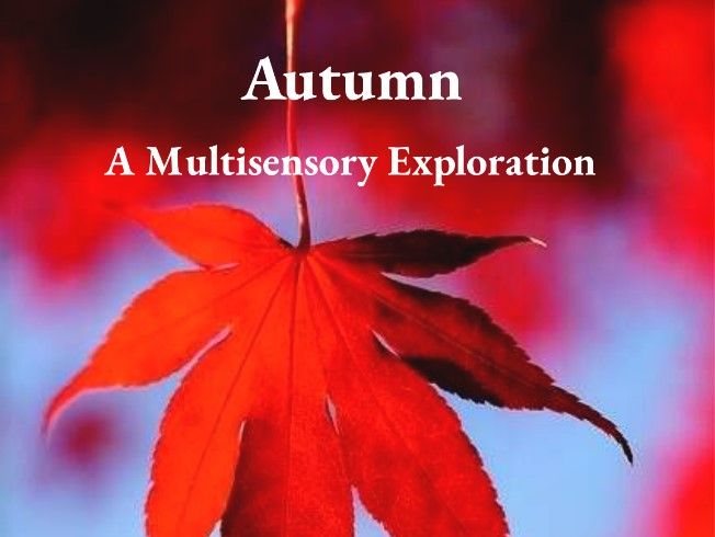 Autumn A Multisensory Story