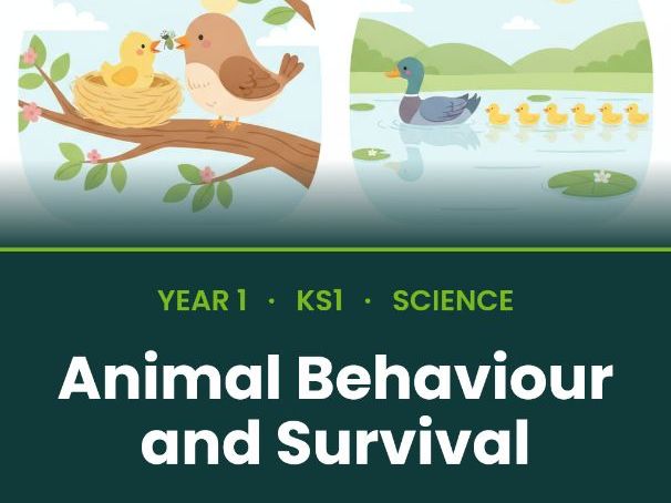 Y1/2 Science: Animals & Their Young | Full Unit