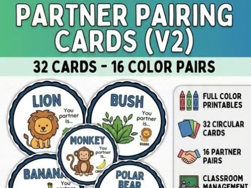 Partner Pairing Cards | Matching Partner Activity (in color)