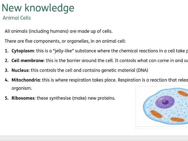 Lesson Biology KS3 Activate 1.2 Plant and animal cells