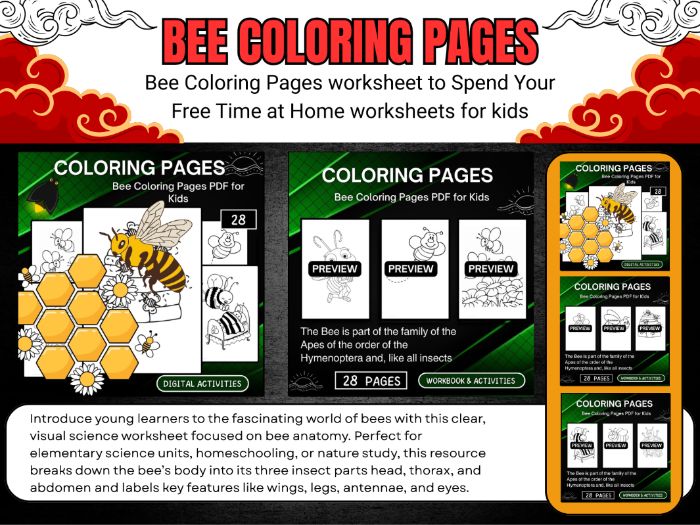 Bee Coloring Pages PDF for Kids Worksheets & Printable End Of Year