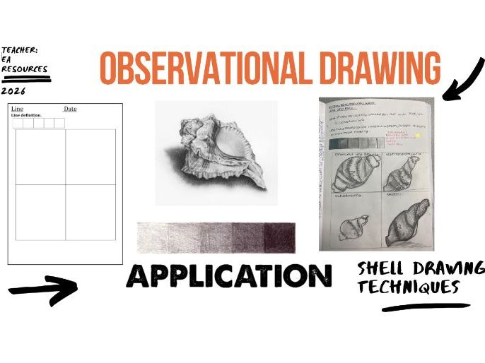 Observational Shell Drawing – Exploring Line, Tone and Texture