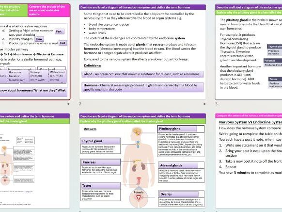 AQA Trilogy  4.5 L4 Endocrine System