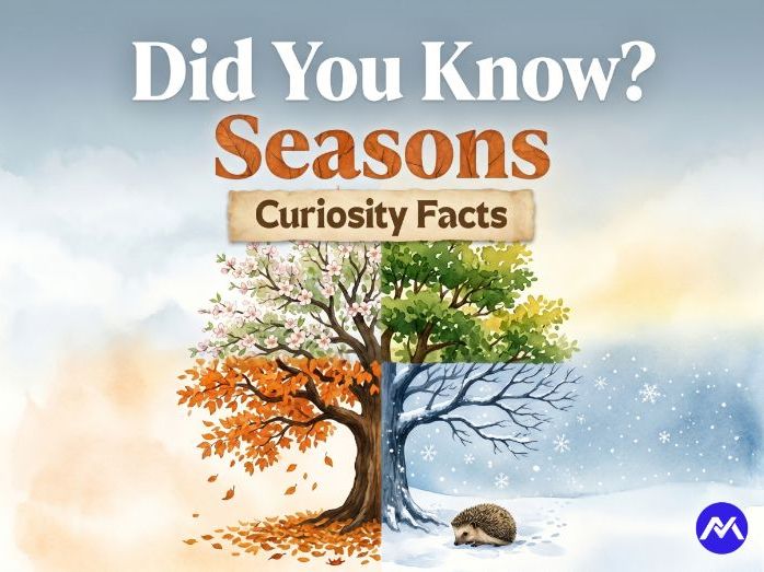 Seasons Curiosity Facts