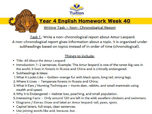 40. Year 4 Creative Writing & Spelling