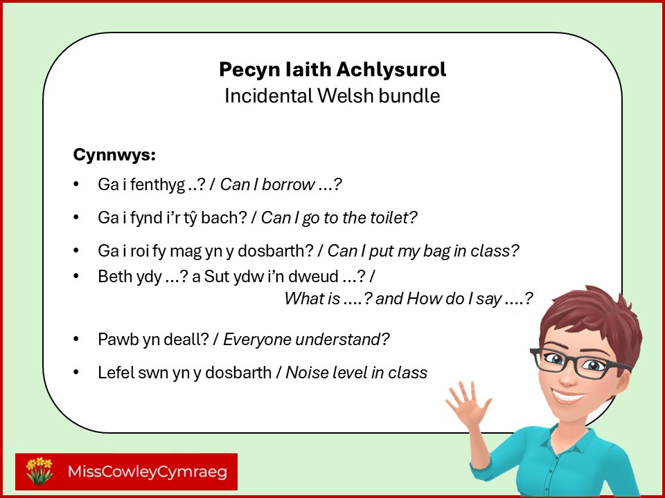 Incidental Welsh posters & displays