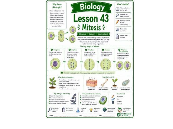 Mitosis cover lesson Biology (L43)
