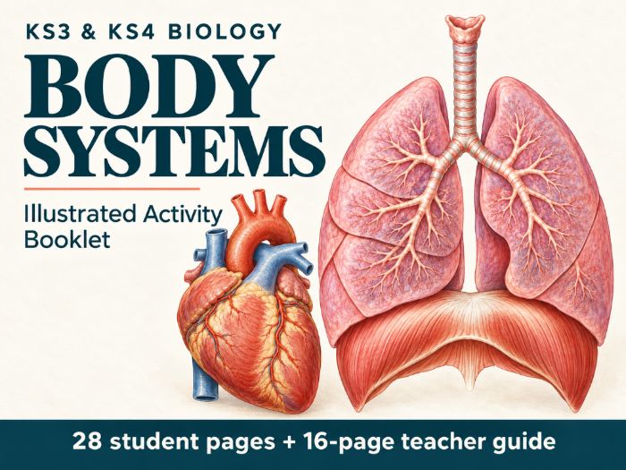 Human Body Systems KS3 & KS4 | Illustrated Activity Booklet + Answers