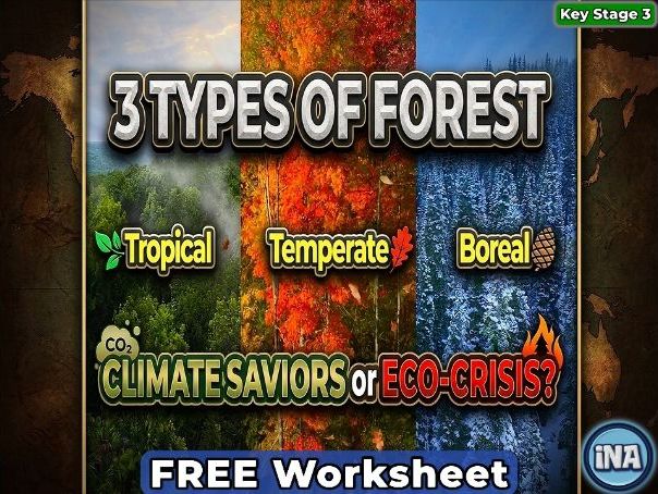 The Forests of the World - FREE KS3 Geography Worksheet