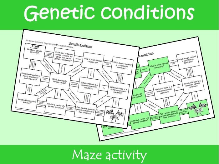 Genetic Conditions Maze Worksheet | KS2–KS3 Science Revision Activity