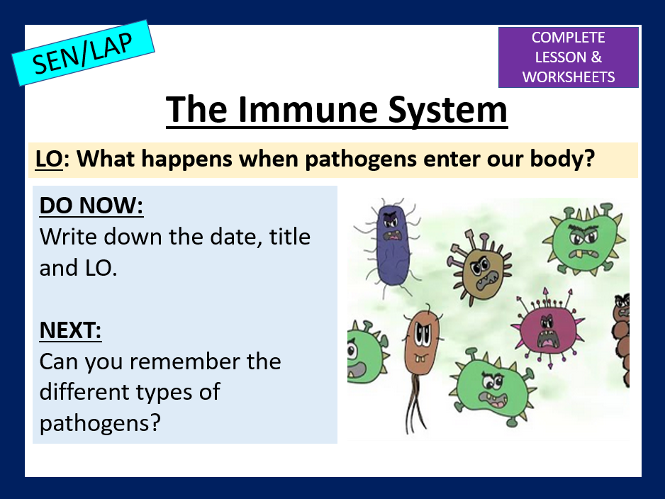 Immune System - SEN