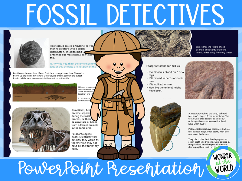 What Can Fossils Tell Us PowerPoint KS2 Teaching Resources