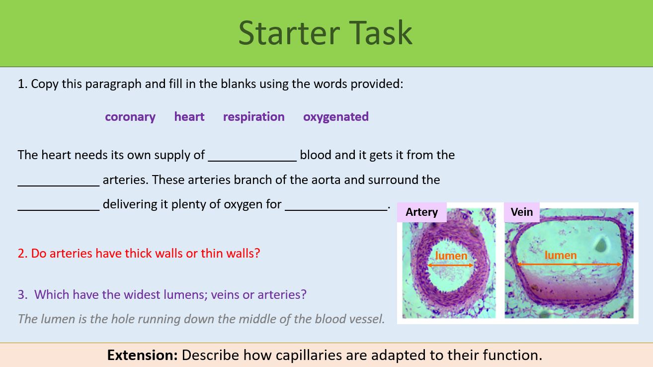 Cardiovascular Disease Lesson 1 GCSE Biology | Teaching Resources