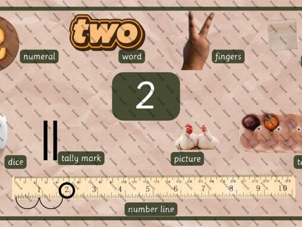 Number Representation Posters- Real/Natural Objects-Number 2
