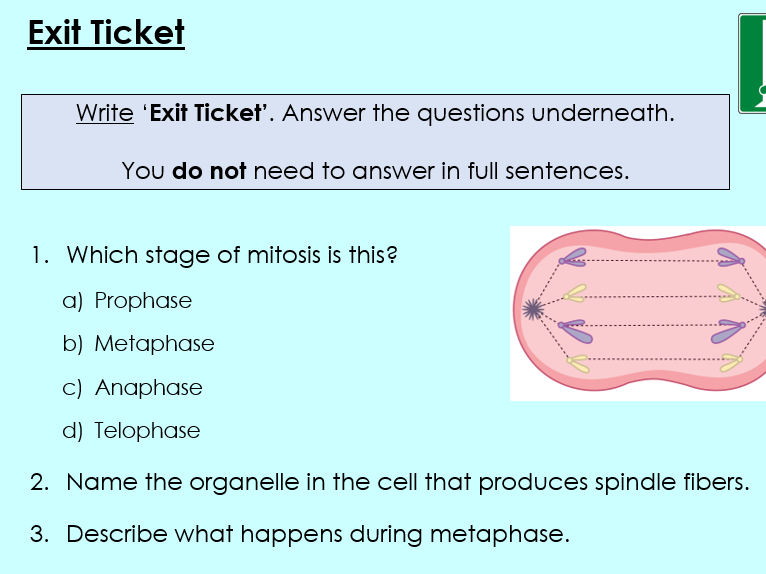 OCR A - A Level Bio, Stages of mitosis and importance, 2.1.4 (c) and (e)