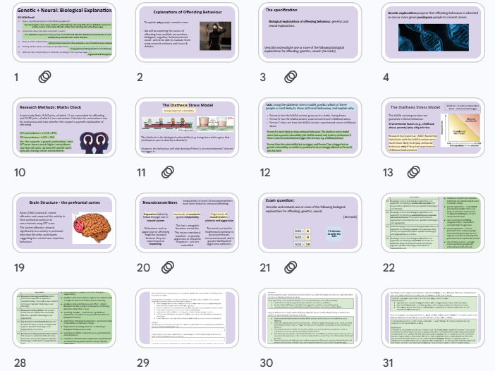Biological Explanation of Offending - Forensic Psychology NEW AQA  A Level Psychology 2025 Spec