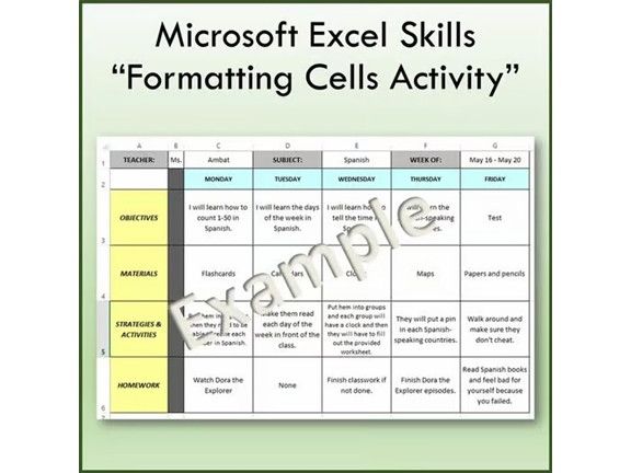 Formatting Cells Lesson Activity for Teaching Microsoft Excel