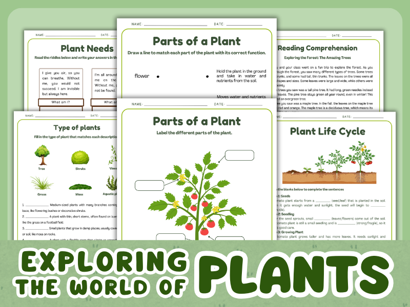 Exploring the World of Plants - Plants Activities