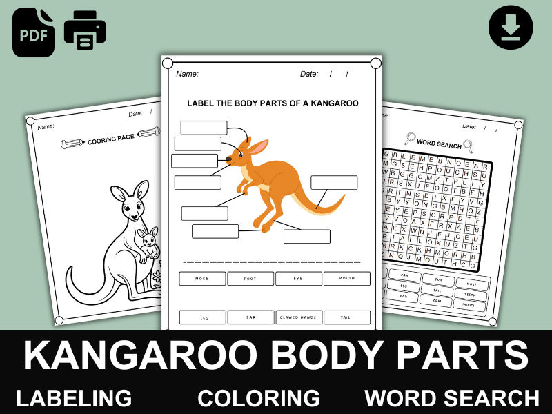 Kangaroo Body Parts | Labeling, Coloring & Word Search | Wildlife & Australian Animals PDF