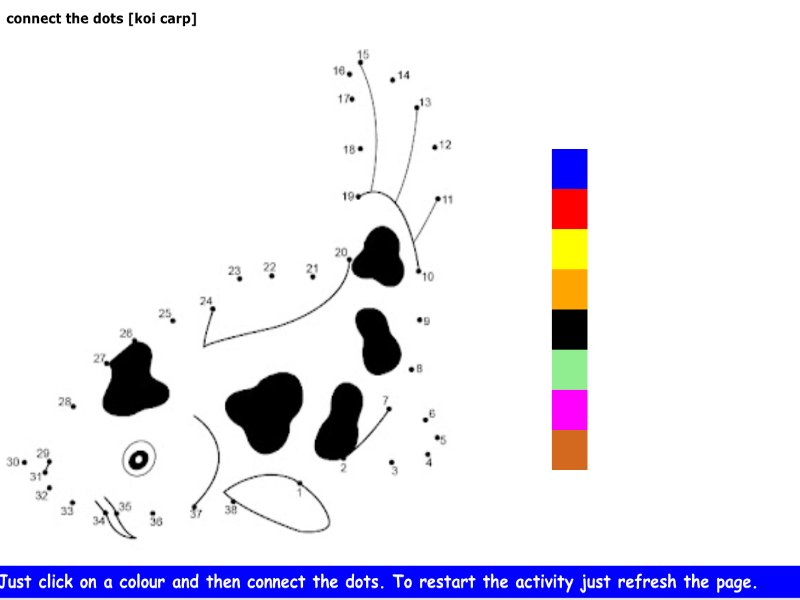 connect the dots [koi carp]