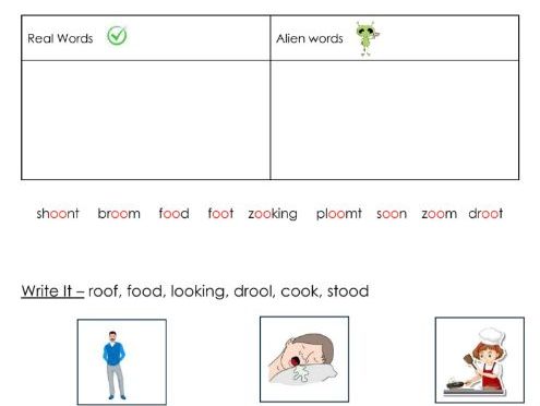 Phonics - oo sound worksheets - Resource bundle
