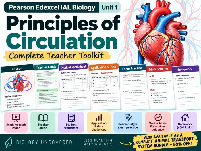 Principles of Circulations | IAL Biology