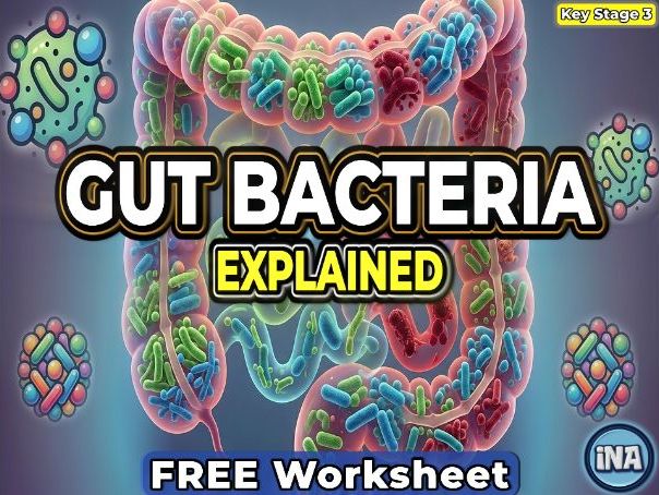 Bacteria in the Digestive System - FREE KS3 Biology Worksheet