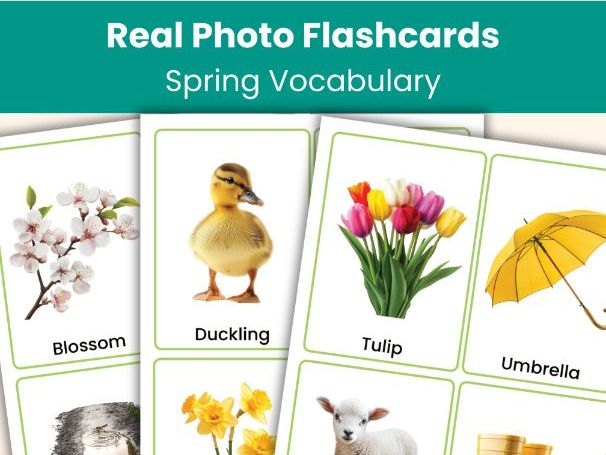 Spring Flashcards – 44 Real Photo Printable Flashcards | Vocabulary Cards
