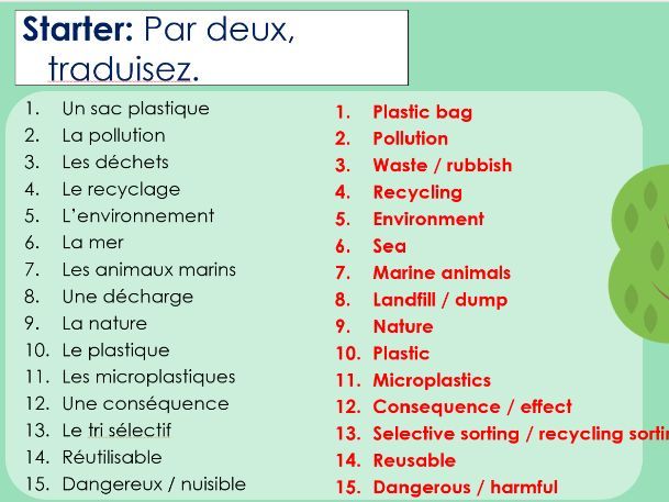 IB French Ab Initio PPT - Partage de la planete -  L'environnement - le danger des sacs en plastique