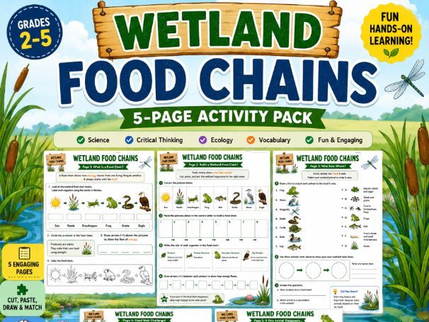 Wetland Food Chains | Wetlands Activity Pack | Ecosystems | Science Worksheets